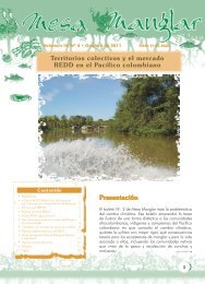 Mesa-manglar-Boletin-4