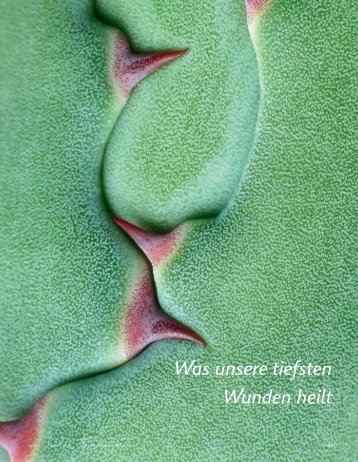 "Was unsere tiefsten Wunden heilt" von Regina Weiser