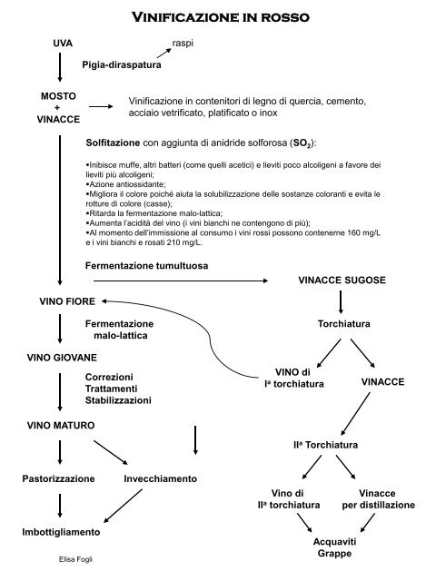 Scheda vinificazione - Rioloweb.it