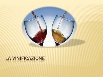 La vinificazione - Massimo Giubilei