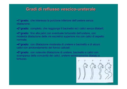 nucleari in nefrourologia - Centro Francesco Redi