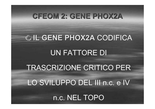 Fibrosi congenita dei muscoli extraoculari - E. Medea