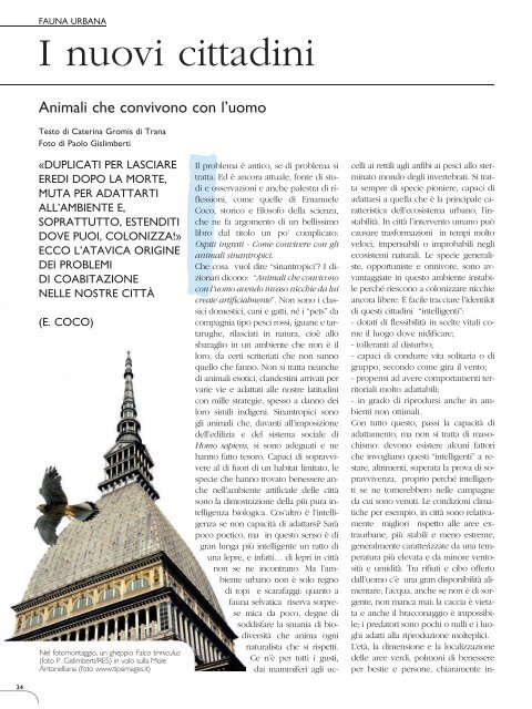 download rivista PDF - Regione Piemonte