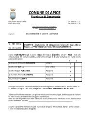 COMUNE DI APICE