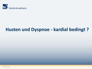 Husten und Dyspnoe - kardial bedingt - Tierklinik Hofheim