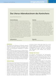 Das Uterus-Adenokarzinom des Kaninchens - Tierklinik am ...