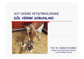 Döl Verimi Sorunları