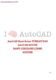 Bölüm 6-Basit_Cizgileri_Cizme - AutoCAD