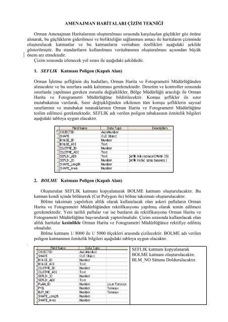 amenajman harita çizim tekniği