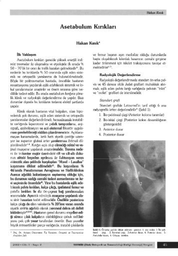 Asetabulum Kırıkları - TOTBİD