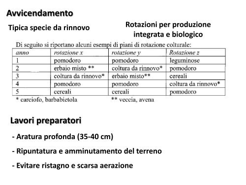 Pomodoro da industria