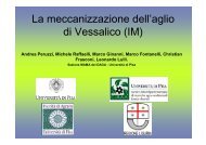 La meccanizzazione dell'aglio di Vessalico (IM)