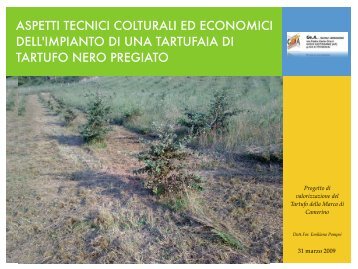 Aspetti tecnici colturali ed economici dell'impianto di una tartufaia di ...