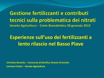 Esperienze sull'uso dei fertilizzanti a lento rilascio nel Basso Piave