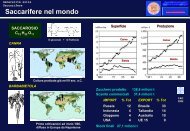 Bietola - ISI Duca degli Abruzzi