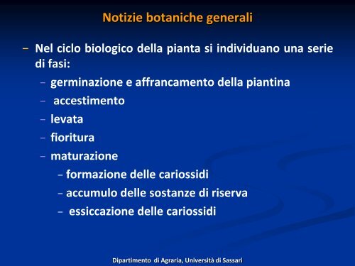 Cereali - Associazione Studenti di Agraria IAAS Sassari