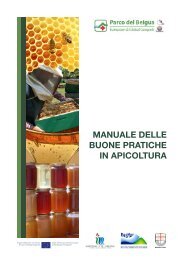 Manuale delle buone pratiche in apicoltura - RES - MAR