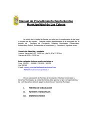 Manual de Procedimiento Depto Rentas Municipalidad de Las Cabras