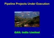 Pipeline Projects Under Execution - IPLOCA.com