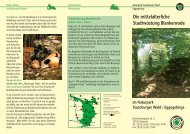 Die mittelalterliche Stadtwüstung Blankenrode - Naturpark ...