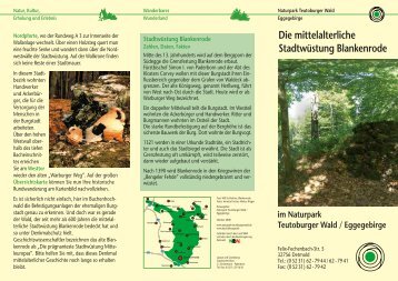 Die mittelalterliche Stadtwüstung Blankenrode - Naturpark ...