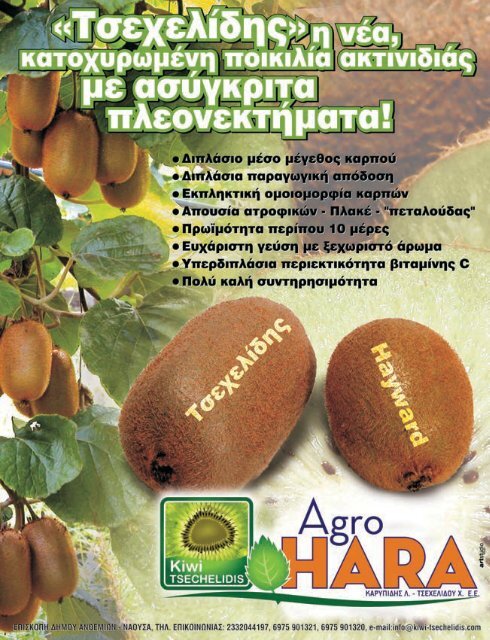 4 - Agronews.gr