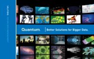 Better Solutions for Bigger Data. - Quantum