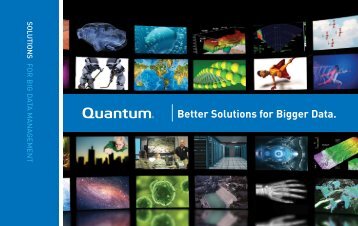 Better Solutions for Bigger Data. - Quantum