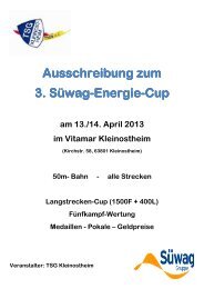 Ausschreibung Süwag-Energie-Cup 3 - DSV