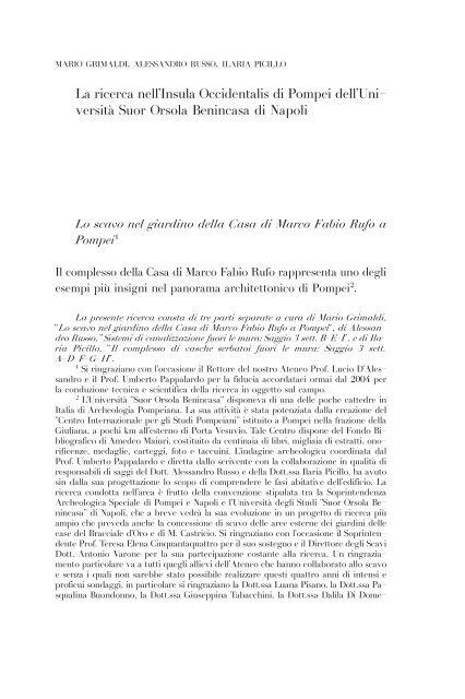 La ricerca nell'Insula Occidentalis di Pompei dell'Università Suor ...