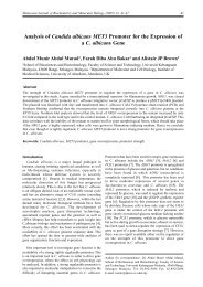 Analysis of Candida albicans MET3 Promoter for the ... - EJUM