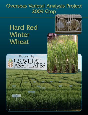 Hard Red Winter Wheat Hard Red Winter Wheat - Grain Science ...