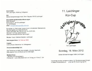 11. Laichinger Kür-Cup Voltigieren