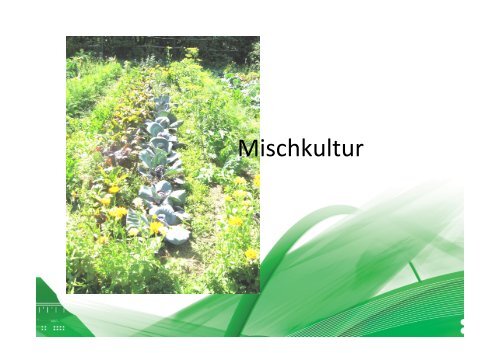 Mischkultur - Boku