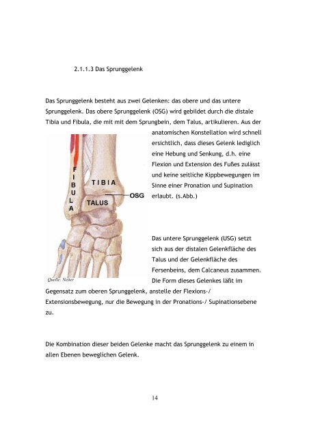 Der Tapeverband am Sprunggelenk als technischer Bestandteil zur ...