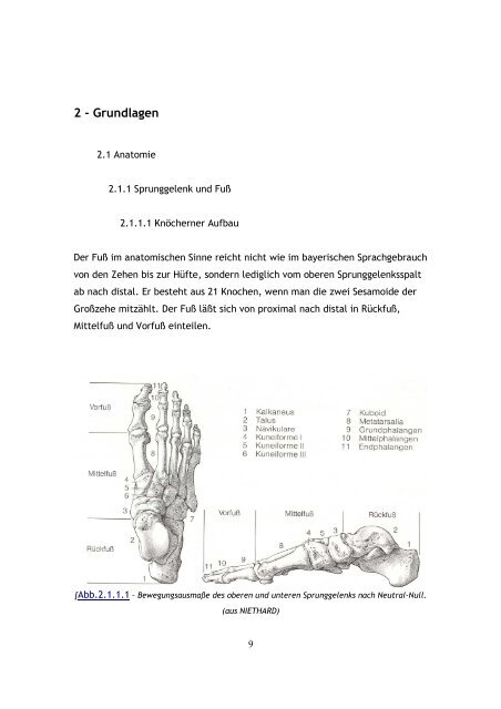 Der Tapeverband am Sprunggelenk als technischer Bestandteil zur ...