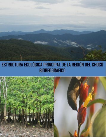 estructura ecológica principal de la región del chocó ... - IIAP