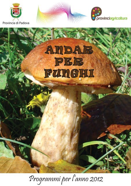 Andar per funghi 2012 - Provincia di Padova