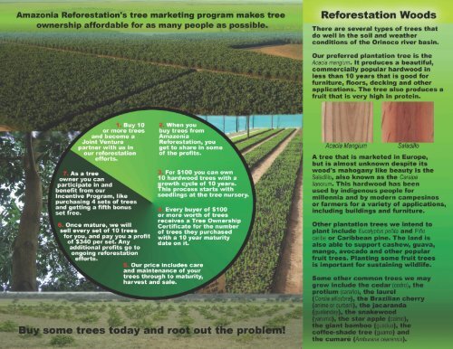 brochure - Amazonia Reforestation