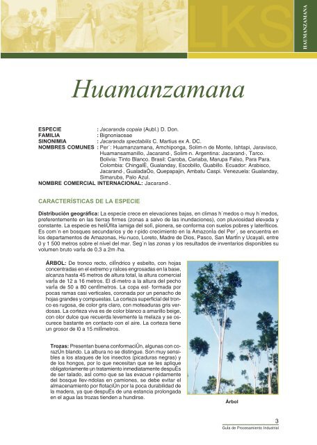 ficha huamanzamana.pmd - RedPeIA
