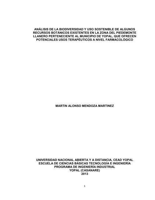 Ingenieria Industrial Universidad Nacional Abierta Y A Distancia