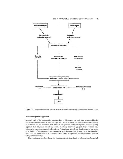 PRINCIPLES OF TOXICOLOGY