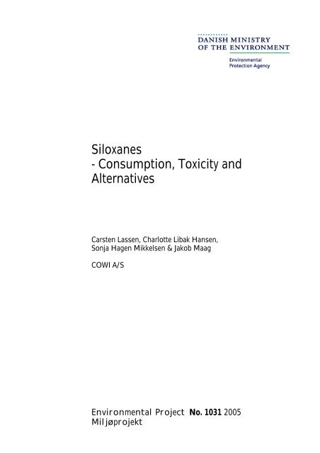 tilskadekomne sø fryser Siloxanes - Consumption, Toxicity and Alternatives - Miljøstyrelsen