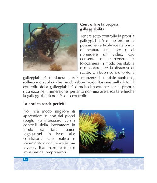 Torcia foto-video subacquea - Sealife Cameras