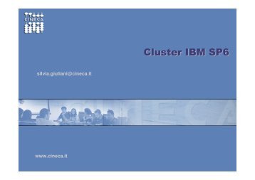 Cluster IBM SP6 - Cineca