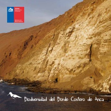 Biodiversidad del Borde Costero de Arica - Foto Naturaleza