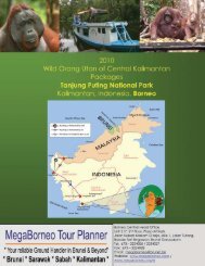 Tanjung Puting National Park Packages - Megaborneo Tour Planner