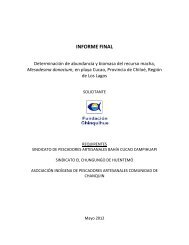 INFORME FINAL