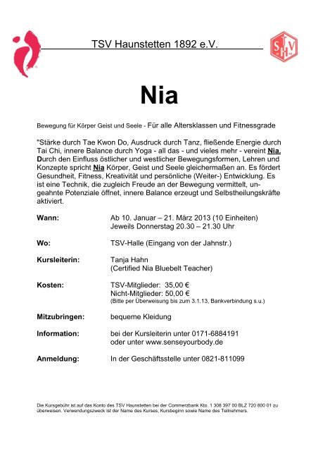 Nia Flyer Januar 2013x - TSV Haunstetten