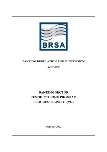 banking sector restructuring program progress report - Bankacılık ...